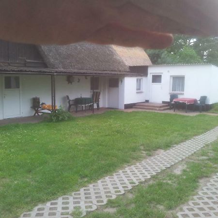 Fewo1 Born Buitenkant foto