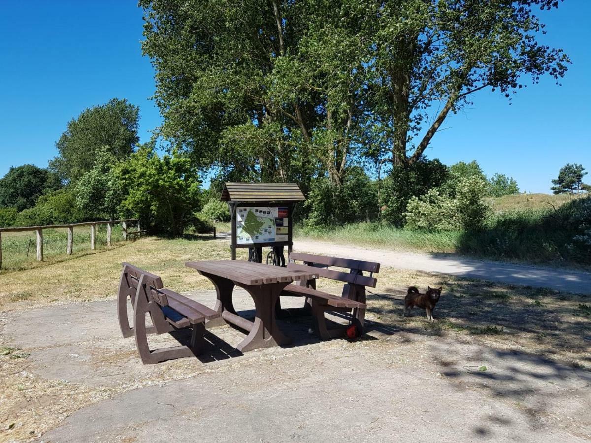 Fewo1 Born Buitenkant foto