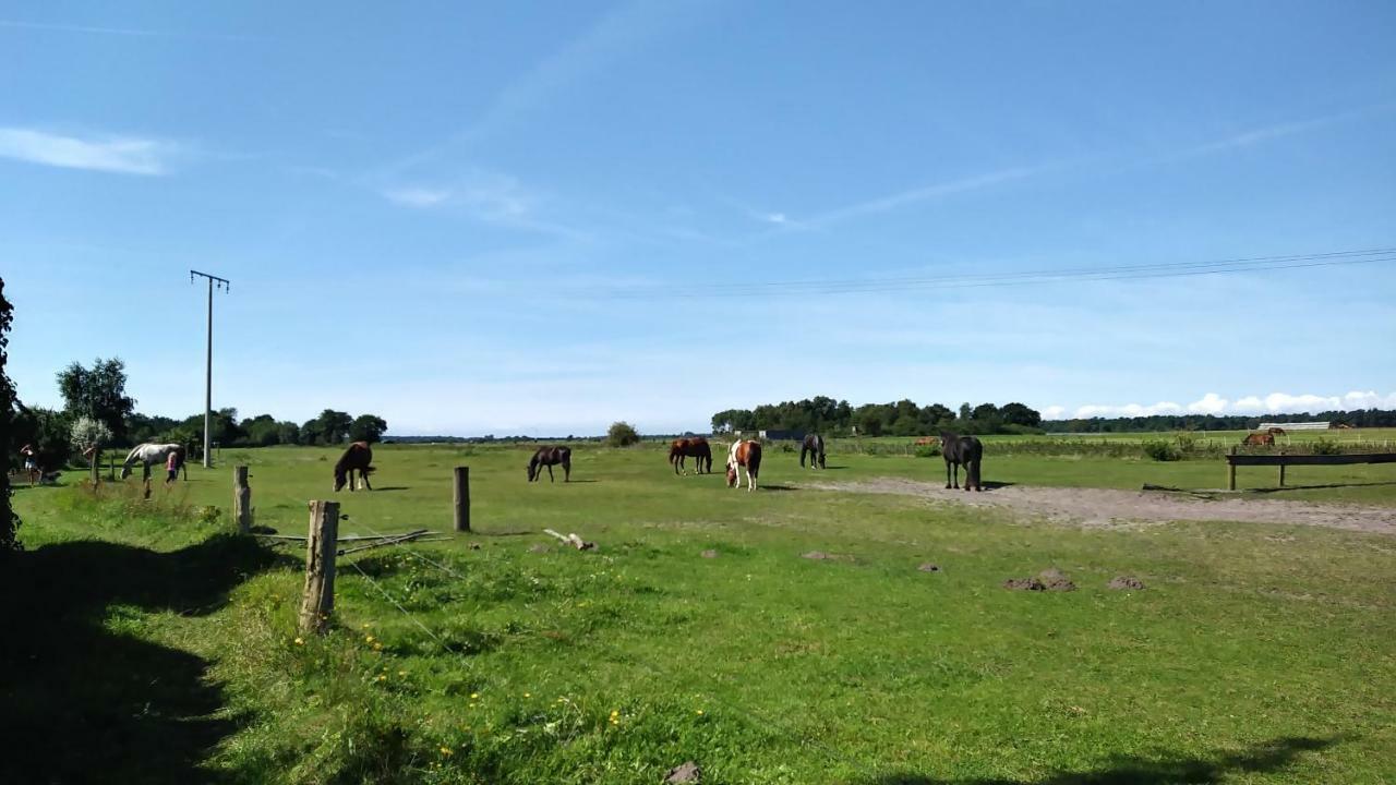Fewo1 Born Buitenkant foto