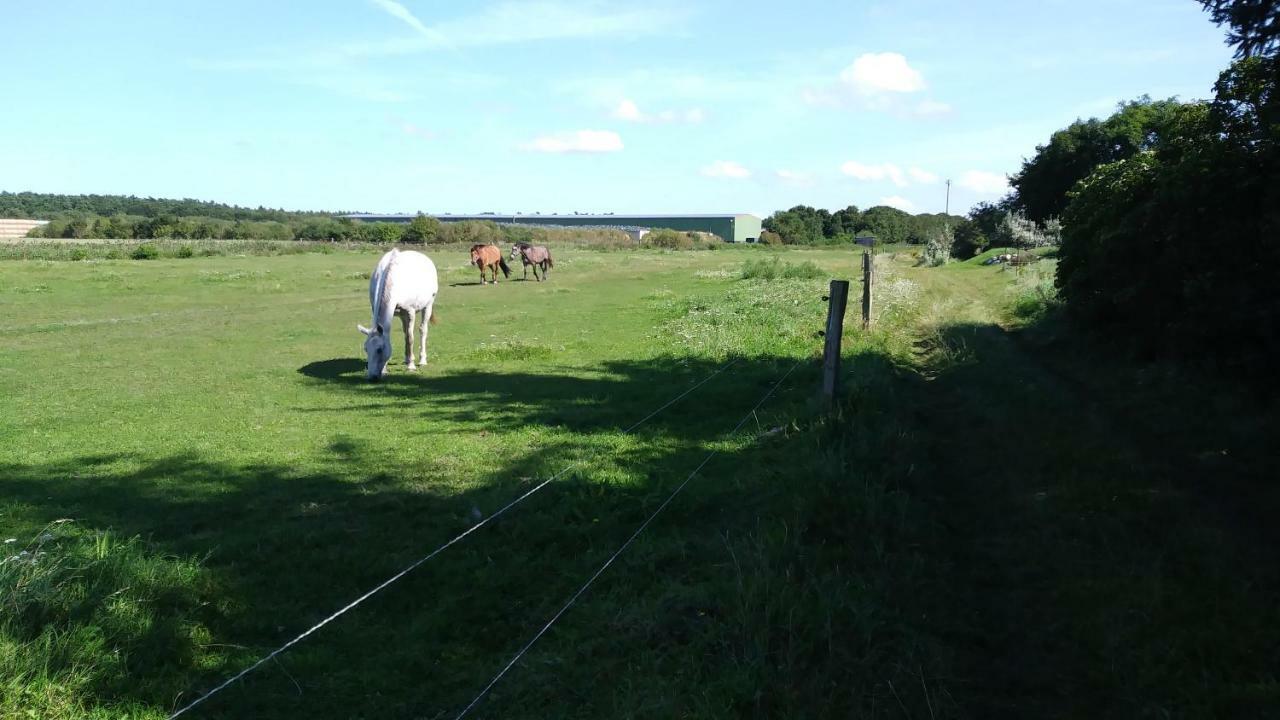 Fewo1 Born Buitenkant foto